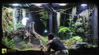 A War Broke Out in My Giant Rainforest Vivarium [upl. by Eseneg]