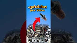 Engine blow by pcv Valve shorts cartips roadsafty [upl. by Correy]