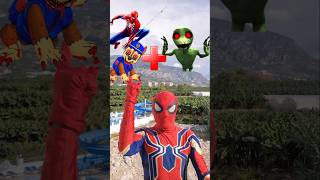 Spiderman and Chase Paw Patrol EXE  Dame Tu Cosita EXE  Marvel Animation [upl. by Yras]