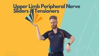 Upper Limb Peripheral Nerve Sliders amp Tensioners [upl. by Liam]