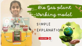 Bio Gas plant working Model simple explanation gobar gas  renewable energy [upl. by Adiehsar]