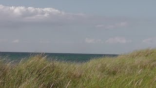 Prerow auf dem DarßOstsee [upl. by Ibmab]