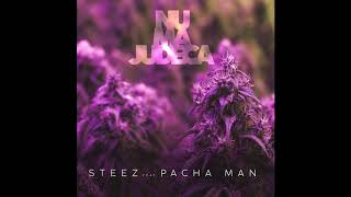 Steez Feat Pacha Man  Nu mă judeca [upl. by Aij]