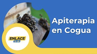 Beneficios de las abejas Spa con miel en Cogua Cundinamarca [upl. by Venn]