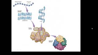 BTEC Applied Science Unit 3 Enzymes 2 [upl. by Ahsirahc]