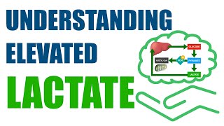 Understanding Elevated Lactate [upl. by Beaston]