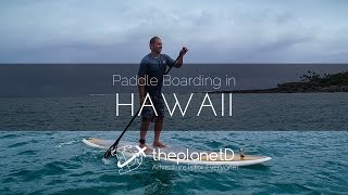 Maui Paddle Boarding Hawaii [upl. by Ades]