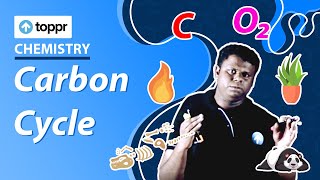 Carbon Cycle  Carbon  Class 8 Chemistry [upl. by Ennahgiel946]