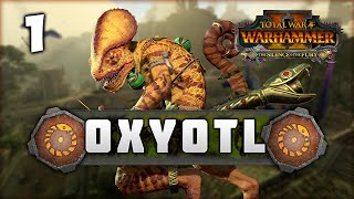 THE HIDDEN HUNTER RISES Total War Warhammer 2  Oxyotl  Lizardmen Mortal Empires Campaign 1 [upl. by Athal450]