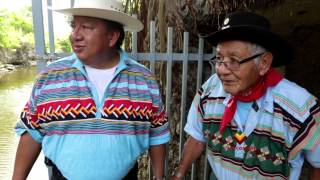 Miccosukee Magazine TV Ep 206 American Indian day 2012 [upl. by Noerb]