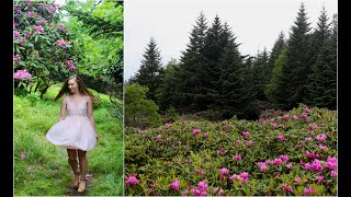 Frolicking in a Rhododendron Garden [upl. by Asum]