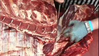 QMS Cutting Edge Beef Forequarter Test [upl. by Follmer568]