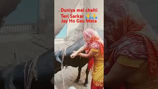 Duniya mein chalti Hai Teri Sarkar 🙏🙏Jay Ho Gau Mata [upl. by Erihppas]