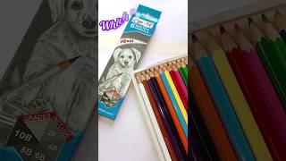 Which colour is best 😱🖊️drawing shots tendingshorts kids [upl. by Kitrak]