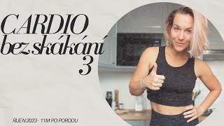 Cardio bez skákání 3 [upl. by Carboni]