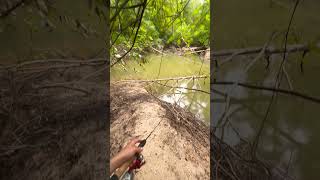 Bait Hunt breamfishing bass bluegill outdoors fishing perch fish fishing short [upl. by Ardnauq831]