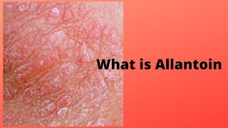 What is Allantoin [upl. by Nywroc]