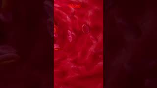 Blood respiratory system shorts ytshorts viral [upl. by Engle]