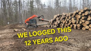 LAST LOGGING JOB FOR THIS WINTER [upl. by Nordgren]