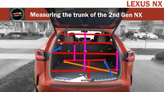 20222025 Lexus NX  Measuring the Trunk Size [upl. by Yelnahs]