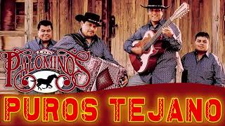 Los Palominos Mega Mix  Tejano Music  Norteños Mix 2023 [upl. by Artemla724]