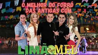 Limão com Mel 🪗 As antigas  30 minutos de forró 🎶 [upl. by Glenda9]