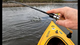 Lake Bellfield Grampians XL Rainbow Trout [upl. by Abijah988]