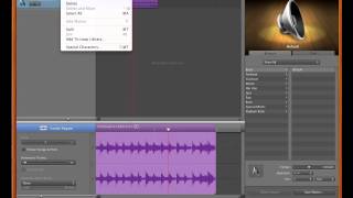 Garageband 11 How to Save a Sample to the Loop Library [upl. by Isle]