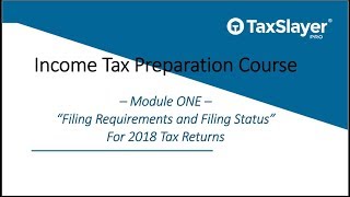 Filing Status and Filing Requirements for Tax Returns [upl. by Lever]