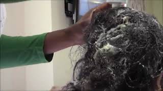 Matted Hair Detangler TAKE DOWN Review  How To  Tutorials [upl. by Idou718]