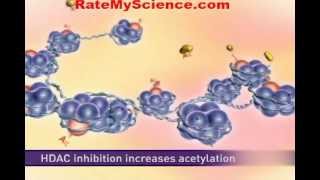 Histone acetylation and cancer Rate My Science [upl. by Eniawed509]