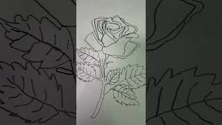 My drawings [upl. by Nanyt]