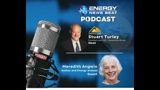 ENB 78 Meredith Angwin Author of quotShorting The Gridquot and key issues electrical grid stability [upl. by Cosenza292]