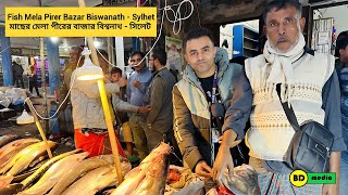 Fish Mela Pirer Bazar Biswanath  Sylhet 2024 মাছের মেলা পীরের বাজার বিশ্বনাথ  সিলেট ২০২৪ [upl. by Negem]