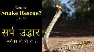 Snake Rescue II Part 1 II सर्प उद्धार II What Is Snake Rescue  II Kamal Devkota II [upl. by Nahama]