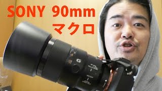 ソニー「SEL90M28G」切れ味バツグン中望遠マクロレンズを試す SONY FE 90mm F28 Macro G OSS [upl. by Gessner]