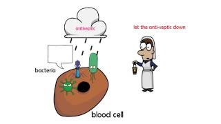 antiseptic vs disinfectant [upl. by Bruce]