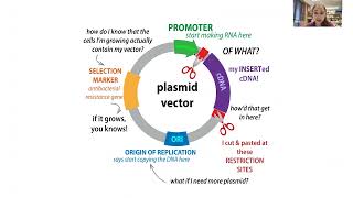 Molecular cloning overview  techniques amp workflow [upl. by Vaios]