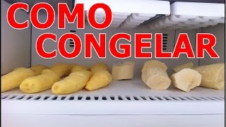 COMO CONGELAR LEGUMES E ERVAS  DIRCINHA [upl. by Rasure211]