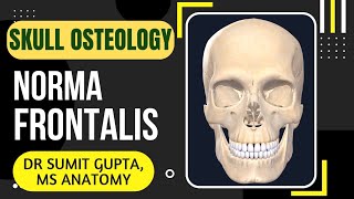 NORMA FRONTALIS  SKULL [upl. by Edi]