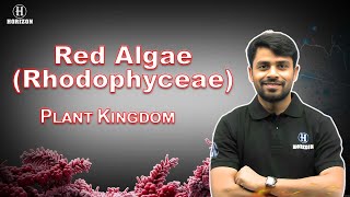 RhodoPhyceae  Class 11th  Biology  Ram sir  Horizon Academy [upl. by Carmelina]