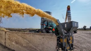 Wet Corn Harvest [upl. by Llevel265]