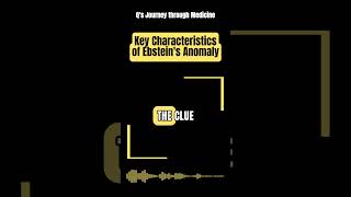 Medical Music Key Characteristics of Ebsteins Anomaly [upl. by Cathrin]