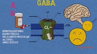 Receptores GABA Benzodiazepinas barbitúrcos y anestésicos [upl. by Erdnaxela]