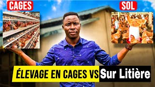 Lélevage de pondeuses en cages VS Sur litière [upl. by Atnahsal]