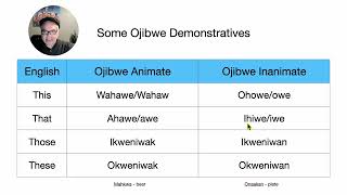 Some Ojibwe Demosntratives [upl. by Luy238]