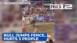 Bull jumps fence at Sisters Rodeo at least 3 people hurt [upl. by Ruhtracam]