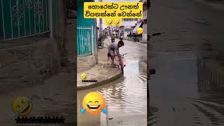 හොරෙක් ට වුනත් විපතක්නේ වුනේ 🤣🤣viralvideo youtubeshorts comedy shorts [upl. by Aidile427]