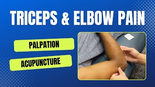 Triceps amp Elbow Pain [upl. by Eal959]