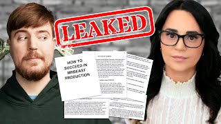 The REAL MrBeast Leaked Document [upl. by Eiramnaej]